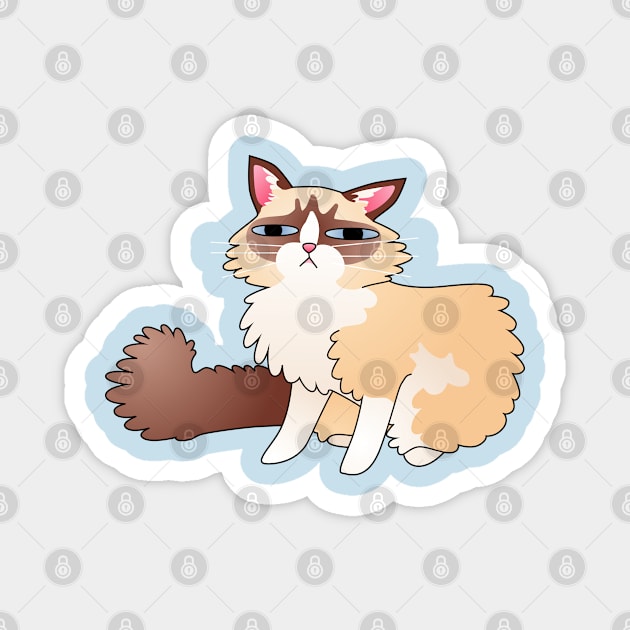 Slightly Suspicious Ragdoll Cat Magnet by ziafrazier