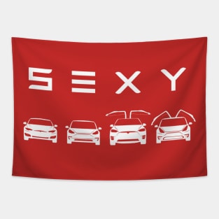 S3XY Tesla - Model S, Model 3, Model X, Model Y Tapestry