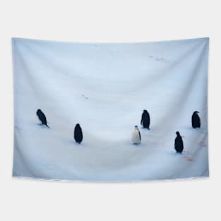 A FLOCK OF PENGUINS ON AN ICEBERG Tapestry
