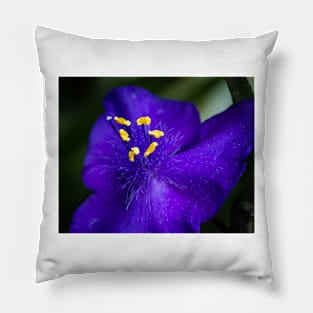 Blue Flower and Stamens Pillow