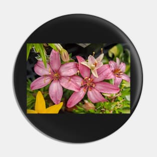 Group of Pink Star Flowers Pin