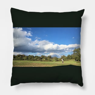 Beautiful Day Pillow