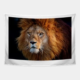 Lion Tapestry