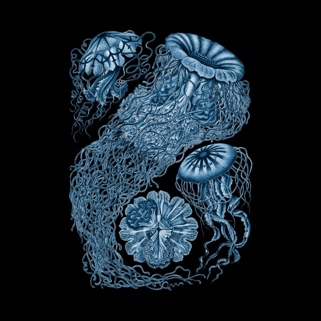 Ernst Haeckel  Jellyfish Prussian Blue by Scientistudio