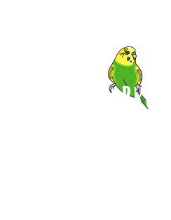 Namaste Home with green budgerigar Magnet