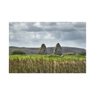 The ruins of Finlaggan seen of the reeds of Loch Finlaggan - Islay T-Shirt