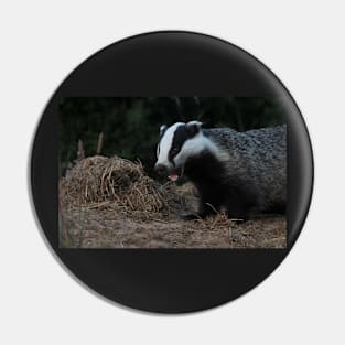 Badger Pin