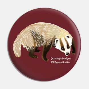 Anakuma the Japanese Badger Pin