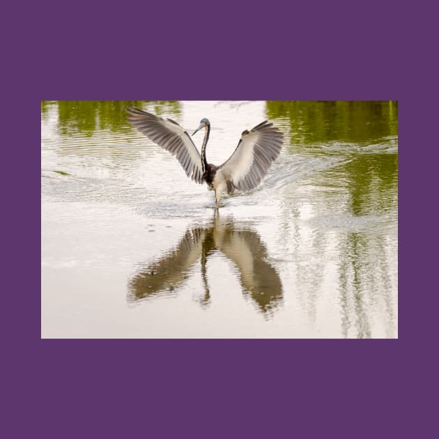 Tricolored Heron Angel Wings by Debra Martz