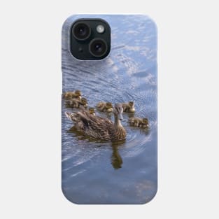 Mother Duck and Ducklings Phone Case