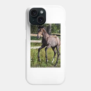 TB COLT Phone Case