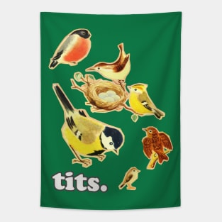 Tits / Humorous Birds Meme Design Tapestry