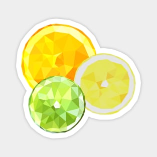 Citrus Splash Magnet