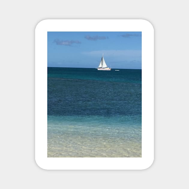 Sailboat in Antigua 2 Magnet by ephotocard