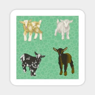 Baby Goats Pattern Green Magnet