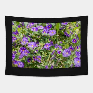 Charming little blue flowers Tapestry