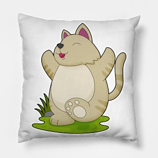 Cat at Yoga Pillow