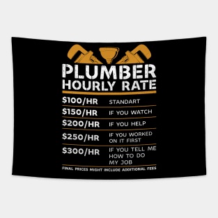 Plumber hourly rate Tapestry