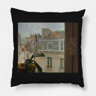 Good morning Paris Pillow