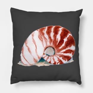 Seashell 1 Pillow