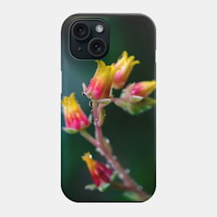 FLOWERS, NATURE’S Fashion Models Phone Case