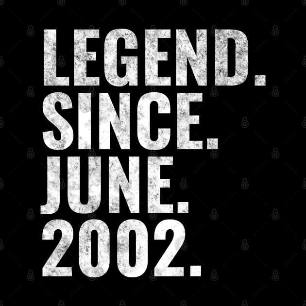 Legend since June 2002 Birthday Shirt Happy Birthday Shirts by TeeLogic