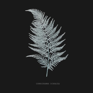 Fern - Gymnogramma Ochracea - X-ray effect - 02 T-Shirt