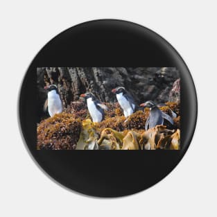 Snares Crested Penguins Pin