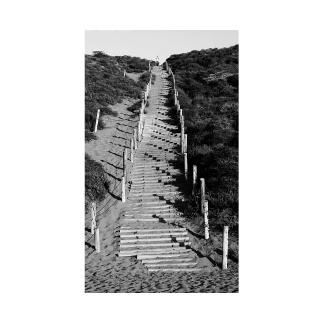 Beach Staircase in Lincoln Park, San Francisco by IgorPozdnyakov