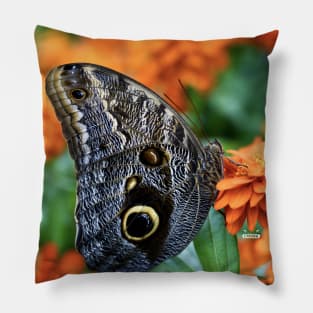 Schmetterling / Swiss Artwork Photography Pillow