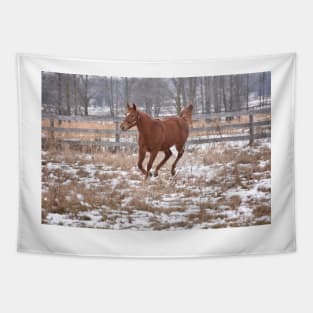 Palace Malice filly Tapestry