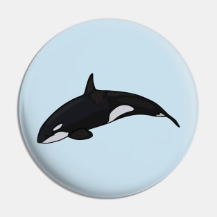 Killer whale cartoon illustration Pin