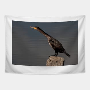 Double-crested Cormorant Tapestry