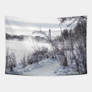 -30C on the River. Tapestry