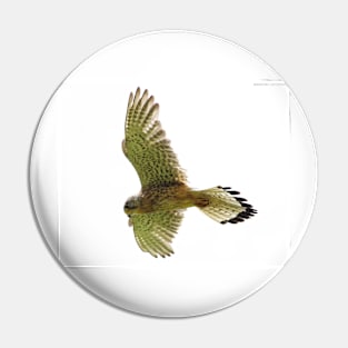 Kestrel in flight Pin