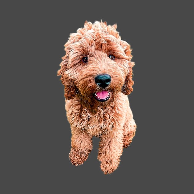 Cockapoo Cavapoo Labradoodle Goldendoodle Doodles by Elarex