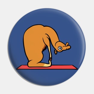 Camel Yoga Pose Pin