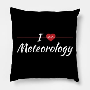 I Love Meteorology Cute Red Heart Pillow