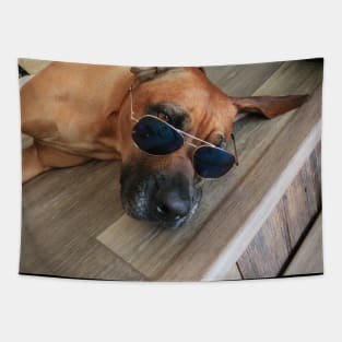 Chill Dog with Glasses Tapestry