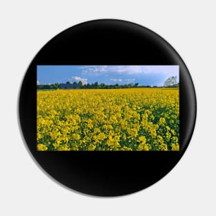 Rapeseed field Pin