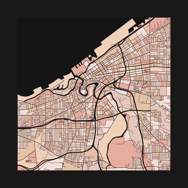 Cleveland Map Pattern in Soft Pink Pastels by PatternMaps