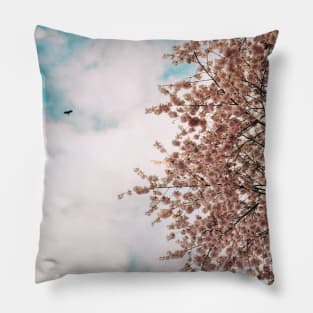 Cherry Blossom 5 Pillow