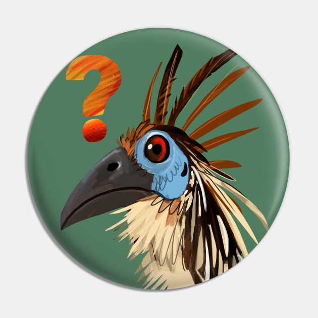 What´s the hoatzin? Pin by belettelepink