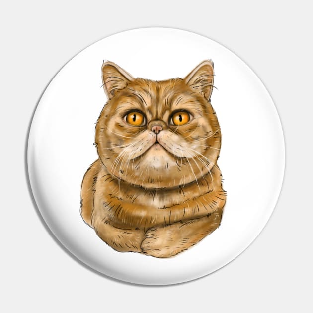 Exotic Shorthair cat Pin by Kingroad