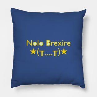 Nolo Brexire (I don't want to Brexit) Pillow