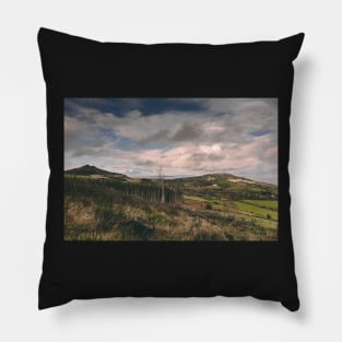 Bellevue View Pillow