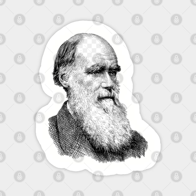 Charles Darwin Magnet by Among the Leaves Apparel