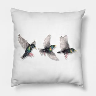 Starling Trio Pillow