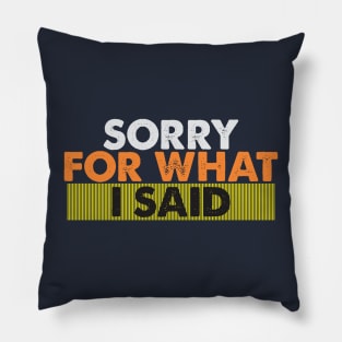 Sorry for what I said Pillow