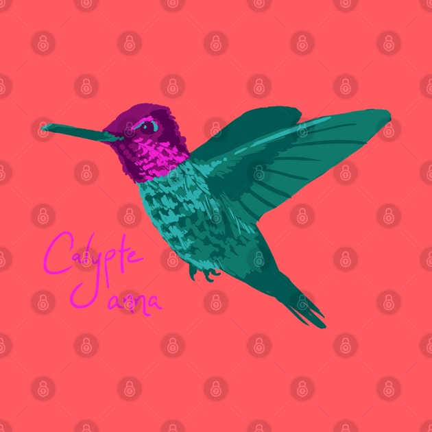 Anna's Hummingbird by Meganopteryx